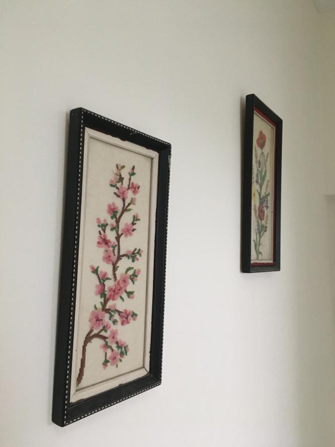 Apartament Oresti 科尔察 外观 照片